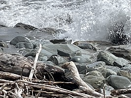 Mananui Bush, Mahinapua, Wanganui River, Oneone