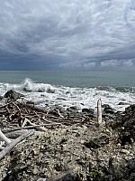 Mananui Bush, Mahinapua, Wanganui River, Oneone