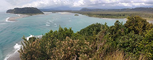 Mananui Bush, Mahinapua, Wanganui River, Oneone