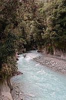 Mananui Bush, Mahinapua, Wanganui River, Oneone