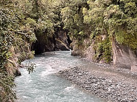 Mananui Bush, Mahinapua, Wanganui River, Oneone