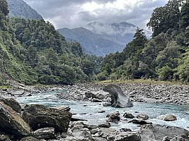 Copland River Welcome Flat Hut