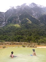 Copland River Welcome Flat Hut