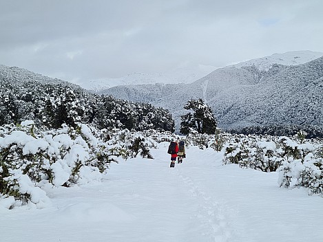 2022-07-31 10.02.56 S20 Simon - heading along the track on the flats.jpeg: 4032x3024, 2920k (2022 Dec 11 14:47)