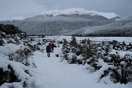 Heading down snowy track to Hurunui flats
Photo: Brian
2022-07-31 09.20.18; '2022 Jul 31 09:20'
Original size: 5,472 x 3,648; 8,164 kB
2022-07-31 09.20.18 IMG_0410 Brian - heading down snowy track to Hurunui flats.jpeg