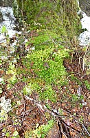 Hut day at Hurunui #3 Hut