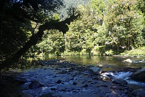 Moeraki River to Middle Head hut