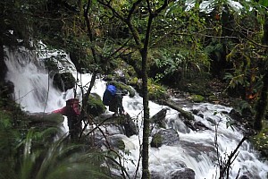 Blue River Hut to Māori Saddle Hut on the Haast Paringa Cattle track