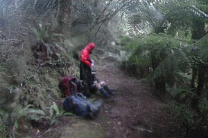 Blue River Hut to Māori Saddle Hut on the Haast Paringa Cattle track