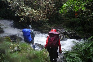 Blue River Hut to Māori Saddle Hut on the Haast Paringa Cattle track