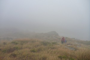 Mataketake Hut to Blue River Hut via tops, drive to Waita River at the south end of Haast-Paringa Cattle Track, tramp to Coppermine Creek Hut