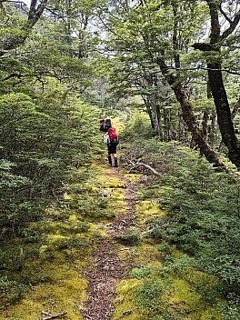 First glimpse of Lost Stream Bivvy
Photographer;&nbsp;Simon
2024-01-28&nbsp;14.20.05;&nbsp;Metadata time: '2024 Jan 28 14:20'
Original size:&nbsp;6,928 x 9,248; 33,672 kB
Filename: 2024-01-28 14.20.05 S20+ Simon - first glimpse of Lost Stream Bivvy.jpeg