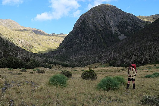 Alan in Lost Stream
Photographer;&nbsp;Brian
2024-01-29&nbsp;08.41.19;&nbsp;Metadata time: '2024 Jan 29 08:41'
Original size:&nbsp;5,472 x 3,648; 9,412 kB
Filename: 2024-01-29 08.41.19 IMG_1046 Brian - Alan in Lost Stream.jpeg
