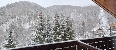 Prince Hotel East Wing to Hotel Alpenburg; visit to the Jigokudani Snow Monkeys
Arrival view out Alpenburg room window
Photographer;&nbsp;Jim
2024-03-06&nbsp;11.11.11;&nbsp;Metadata time: '2024 Mar 06 11:11'
Original size:&nbsp;6,391 x 2,786; 4,444 kB;&nbsp;stitch
Filename: 2024-03-06 11.11.11 S21FE+ Jim - Arrival view out Alpenburg room window_stitch.jpg