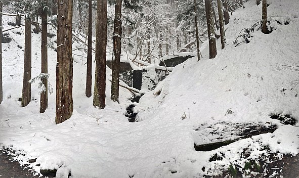 Stream crossing the Snow Monkey track
Photo: Adrian
2024-03-06 12.12.58; '2024 Mar 06 16:12'
Original size: 5,183 x 3,087; 1,981 kB
2024-03-06 12.12.58-PANO S20+ Adrian - Stream crossing the Snow Monkey track.jpeg Stream crossing the Snow Monkey track
Photo: Adrian
2024-03-06 12.12.58; '2024 Mar 06 16:12'
Original size: 5,183 x 3,087; 1,981 kB
2024-03-06 12.12.58-PANO S20+ Adrian - Stream crossing the Snow Monkey track.jpeg