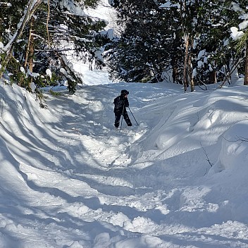 Kevin with lost ski in the trees beside the Maruike Triple
Photographer;&nbsp;Jim
2024-03-11&nbsp;10.18.00;&nbsp;Metadata time: '2024 Mar 11 14:18'
Original size:&nbsp;2,992 x 2,992; 2,935 kB
Filename: 2024-03-11 10.18.00 S21FE+ Jim - Kevin with lost ski in the trees beside the Maruike Triple.jpeg