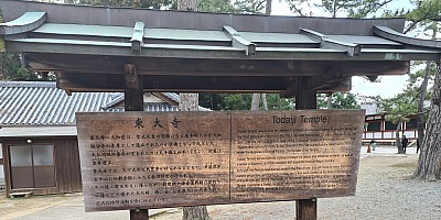 Ōsaka markets, visit to Nara
Todaiji Temple sign
Photo: Adrian
2024-03-14 15.41.02; '2024 Mar 14 15:41'
Original size: 4,032 x 2,015; 2,873 kB; cr
2024-03-14 15.41.02 S20+ Adrian - Todaiji Temple sign_cr.jpg