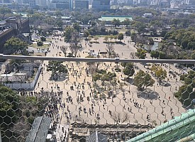 Kuromon market, Ōsaka Castle, Sumo Wrestling and Edion Arean\, Dōtonburi
View from Ōsaka Castle
Photographer;&nbsp;Adrian
2024-03-15&nbsp;11.19.39;&nbsp;Metadata time: '2024 Mar 15 11:19'
Original size:&nbsp;8,838 x 6,430; 16,778 kB;&nbsp;cr
Filename: 2024-03-15 11.19.39 S20+ Adrian - view from Ōsaka Castle_cr.jpg
