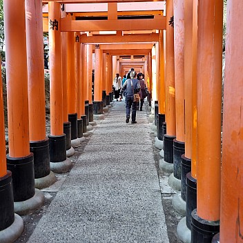 Senbon Torii path
Photographer;&nbsp;Jim
2024-03-16&nbsp;15.48.17;&nbsp;Metadata time: '2024 Mar 16 19:48'
Original size:&nbsp;2,992 x 2,992; 2,579 kB
Filename: 2024-03-16 15.48.17 S21FE+ Jim - Senbon Torii path.jpeg