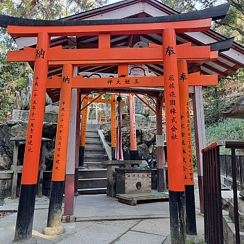 Torii gates on the Senbon Torii path
Photographer;&nbsp;Jim
2024-03-16&nbsp;15.51.14;&nbsp;Metadata time: '2024 Mar 16 19:51'
Original size:&nbsp;2,992 x 2,992; 3,261 kB
Filename: 2024-03-16 15.51.14 S21FE+ Jim - Torii gates on the Senbon Torii path.jpeg