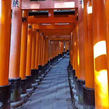 Senbon Torii path
Photographer;&nbsp;Jim
2024-03-16&nbsp;16.06.27;&nbsp;Metadata time: '2024 Mar 16 20:06'
Original size:&nbsp;2,992 x 2,992; 2,142 kB
Filename: 2024-03-16 16.06.27 S21FE+ Jim - Senbon Torii path.jpeg