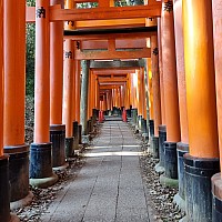 Shinkansen Ōsaka, Tōkyō, to Narita
Lots of Torii gates on the Senbon Torii path
Photo: Jim
2024-03-16 16.05.37; '2024 Mar 16 16:05'
Original size: 2,992 x 2,992; 2,698 kB
2024-03-16 16.05.37 S21FE+ Jim - Lots of Torii gates on the Senbon Torii path.jpeg