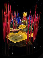 Chihuly Glass Mille Fiori  2012
Photographer;&nbsp;Nick
2025-03-02&nbsp;13.00.57;&nbsp;Metadata time: '2025 Mar 02 13:00'
Original size:&nbsp;2,724 x 3,632; 1,864 kB;&nbsp;cr
Filename: 2025-03-02 13.00.57 Nick - Chihuly Glass Mille Fiori 2012_cr.jpg