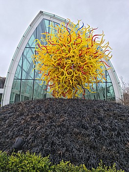Sculpture outside the Glasshouse
Photo: Simon
2025-03-02 13.47.02; '2025 Mar 02 13:47'
Original size: 6,928 x 9,248; 19,013 kB
2025-03-02 13.47.02 S20+ Simon - sculpture outside the Glasshouse.jpeg