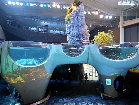 Seattle Acquarium
Photographer;&nbsp;Nick
2025-03-03&nbsp;14.27.30;&nbsp;Metadata time: '2025 Mar 03 14:27'
Original size:&nbsp;4,608 x 3,456; 4,100 kB
Filename: 2025-03-03 14.27.30 IMG Nick - Seattle Acquarium.jpeg