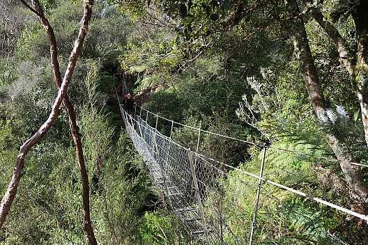 Simon on the swingbridge
Photo: Brian
2025-05-04 11.37.31; '2025 May 04 11:37'
Original size: 5,472 x 3,648; 15,689 kB
2025-05-04 11.37.31 IMG_1481 Brian - Simon on the swingbridge.jpeg