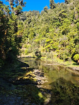 View down the Waitōtara from the swing bridge
Photo: Simon
2025-05-06 11.28.04; '2025 May 06 11:28'
Original size: 6,928 x 9,248; 30,221 kB
2025-05-06 11.28.04 S20+ Simon - view down the Waitōtara from the swing bridge.jpeg