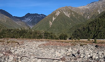 Bruce heading up Moa Stream
Photographer;&nbsp;Brian
2026-03-04&nbsp;08.38.33;&nbsp;Metadata time: '2026 Mar 04 08:38'
Original size:&nbsp;5,279 x 3,126; 7,991 kB;&nbsp;cr
Filename: 2026-03-04 08.38.33 CPSG7MII IMG_1777 Brian - Bruce heading up Moa Stream_cr.jpg