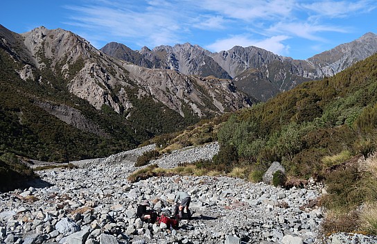 Second rest stop in Moa Stream
Photographer;&nbsp;Brian
2026-03-04&nbsp;10.56.21;&nbsp;Metadata time: '2026 Mar 04 10:56'
Original size:&nbsp;5,124 x 3,317; 8,655 kB;&nbsp;cr
Filename: 2026-03-04 10.56.21 CPSG7MII IMG_1778 Brian - Second rest stop in Moa Stream_cr.jpg