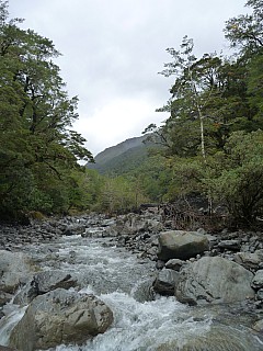 Looking back up Tutaekuri River
Photographer;&nbsp;Philip
2013-04-22&nbsp;14.13.10;&nbsp;Metadata time: '2013 Apr 22 14:13'
Original size:&nbsp;3,240 x 4,320; 5,046 kB
Filename: 2013-04-22 14.13.10 P1020071 Philip - Looking back up Tutaekuri River.jpeg