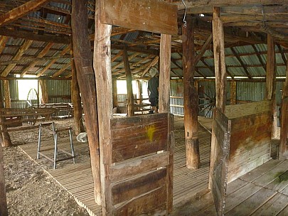 2013-11-18 08.48.50 P1050387 Simon - Quail Flat historic woolshed interior.jpeg: 4000x3000, 5554k (2013 Nov 18 08:48)