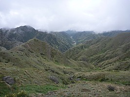 Seymour Stream and Driving Spur