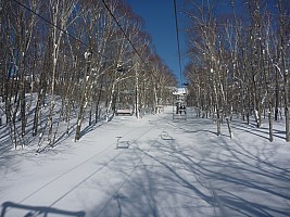 Han-no-ki high speed pair
Photographer;&nbsp;Simon
2015-02-16&nbsp;08.45.06;&nbsp;Metadata time: '2015 Feb 16 08:45'
Original size:&nbsp;4,000 x 3,000; 6,658 kB
Filename: 2015-02-16 08.45.06 P1010610 Simon - Han-no-ki high speed pair.jpeg