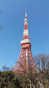 2015-02-19 10.11.03 Jim - Tokyo Tower.jpeg: 2976x5312, 6137k (2015 Jun 28 09:20)