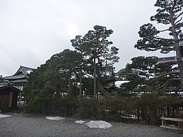 Zenko-ji temple trees
Photographer;&nbsp;Simon
2015-02-13&nbsp;15.05.42;&nbsp;Metadata time: '2015 Feb 13 15:05'
Original size:&nbsp;4,000 x 3,000; 5,671 kB
Filename: 2015-02-13 15.05.42 P1010535 Simon - Zenko-ji temple trees.jpeg