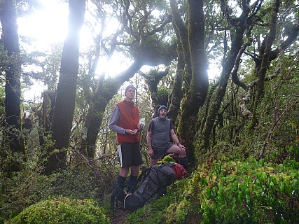 Rest stop on Cone Ridge
Photographer;&nbsp;Simon
2015-07-04&nbsp;11.23.42;&nbsp;Metadata time: '2015 Jul 04 11:23'
Original size:&nbsp;4,000 x 3,000; 7,151 kB
Filename: 2015-07-04 11.23.42 P1010979 Simon - rest stop on Cone Ridge.jpeg