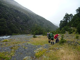 South Branch South Temple Stream South Branch South Temple Stream