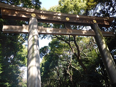 2016-03-03 10.38.06 P1000859 Simon - Torii gate to Meiji Shrine.jpeg: 4608x3456, 6213k (2016 Mar 03 10:38)