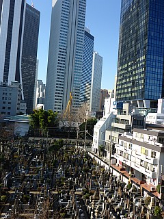 Cemetery
Photographer;&nbsp;Simon
2016-03-03&nbsp;08.35.31;&nbsp;Metadata time: '2016 Mar 03 08:35'
Original size:&nbsp;3,456 x 4,608; 5,395 kB
Filename: 2016-03-03 08.35.31 P1000851 Simon - cemetery Q1.jpeg