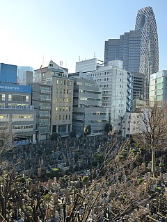 Cemetery
Photographer;&nbsp;Simon
2016-03-03&nbsp;08.35.50;&nbsp;Metadata time: '2016 Mar 03 08:35'
Original size:&nbsp;3,456 x 4,608; 5,419 kB
Filename: 2016-03-03 08.35.50 P1000853 Simon - cemetery Q3.jpeg