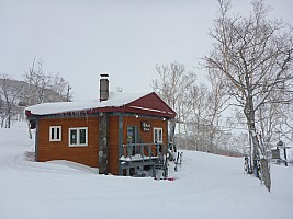 Skiing Niseko