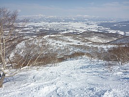 Skiing Niseko