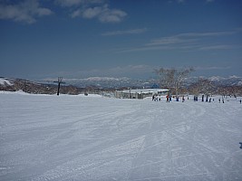 Skiing Niseko