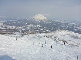 Skiing Niseko