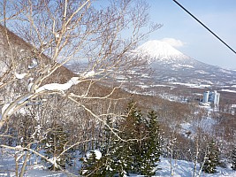 Skiing Niseko
