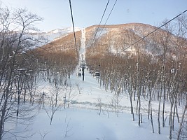 Skiing Niseko